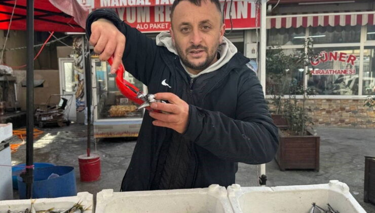Hamsi, çinekop, palamut… Hepsi yerine ona bıraktı:  Kilosu 150 TL