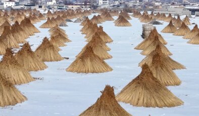 Hasadı karlar altında sürüyor: Mahallenin geçim kaynağı