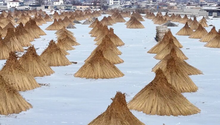 Hasadı karlar altında sürüyor: Mahallenin geçim kaynağı