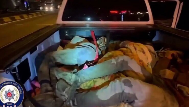 Hatay’da araçlardan 8 kaçak göçmen bulundu: 2 organizatör tutuklandı!