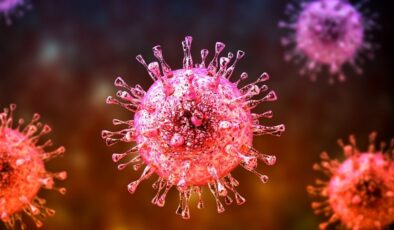 Hindistan’da görüldü: Nipah virüsü yayılıyor mu