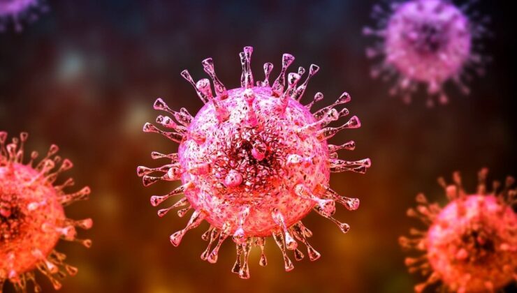 Hindistan’da görüldü: Nipah virüsü yayılıyor mu