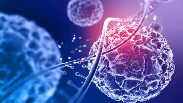 Hücreler vücuttaki yerlerini nasıl biliyor? Bilim en zor sorlardan birini cevaplandırmaya yaklaştı