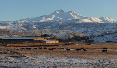 Hürmetçi Sazlığı’nda yılkı atları gün batımında görsel şölen sundu