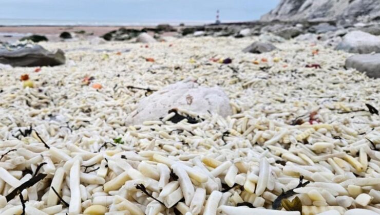 İngiltere’deki sahil tonlarca kilo patates ve soğanla doldu