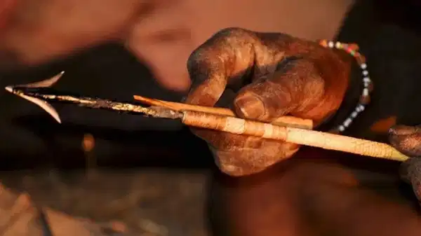 İnsanlığın en ‘ilkel’ modern silahı keşfedildi: Bilinen en eski zehirli oklar 60 bin yıl önce kullanılmış