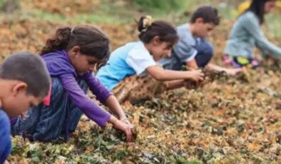 İSİG Meclisi Raporu: 2025’te en az 94 çocuk işçi hayatını kaybetti