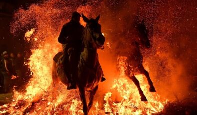 İspanya’da kutsanan atlar ateşin üzerinden atlatıldı