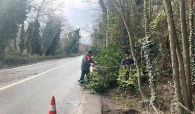 İstanbul için lodos uyarısı: Kuvvetli fırtına etkili olacak