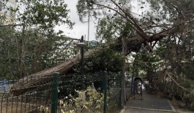 İstanbul’da kuvvetli rüzgar: Çatı uçtu, ağaçlar devrildi!