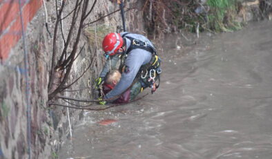 İzmir’de korku dolu anlar: Sular yükseldi, çayda mahsur kaldı!