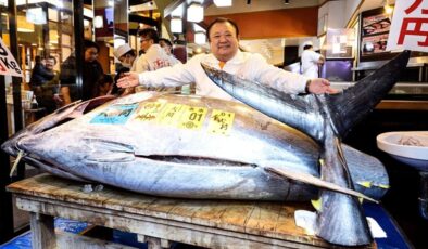 Japonya’da mavi yüzgeçli orkinos açık artırmada 3,2 milyon dolara satıldı