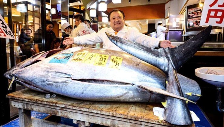 Japonya’da mavi yüzgeçli orkinos açık artırmada 3,2 milyon dolara satıldı