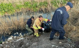 Kayıp olarak aranıyordu… Dere yatağında cesedi bulundu!
