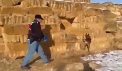 Kayseri’de operasyon… Saman balyaları arasında 1,4 kilo esrar ele geçirildi: 3 gözaltı