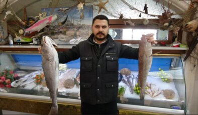 Kebap geri panda kaldı! Gazianteplilerin yeni gözdesi herkesi şaşırttı…