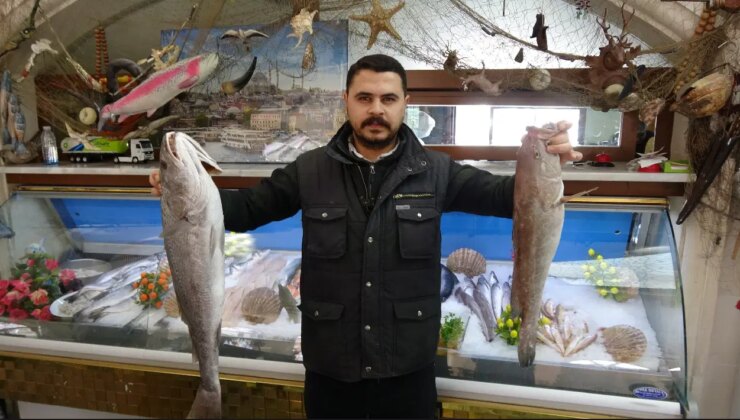 Kebap geri panda kaldı! Gazianteplilerin yeni gözdesi herkesi şaşırttı…