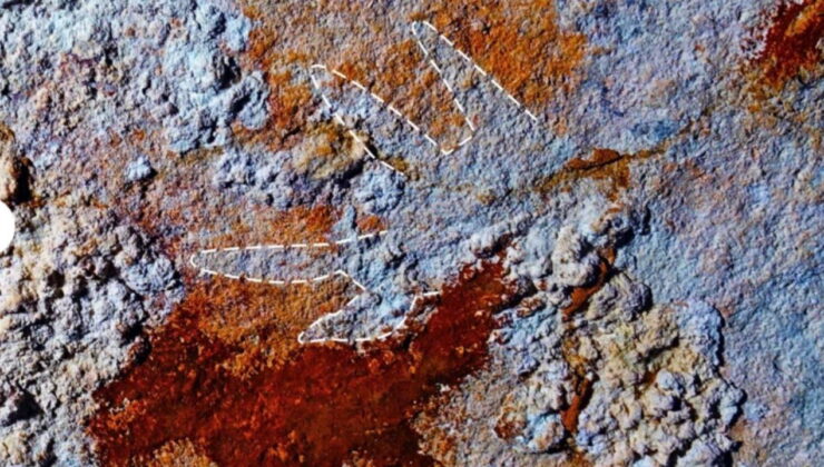 ‘Kırmızı pençeli el’: Tarihteki en eski mağara resmi