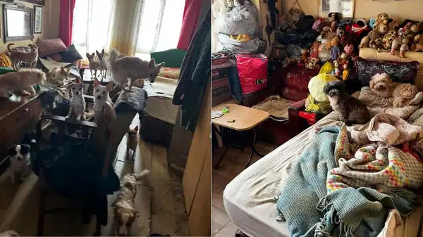 Kocaeli’de bir evde tutulan 55 hayvan koruma altına alındı