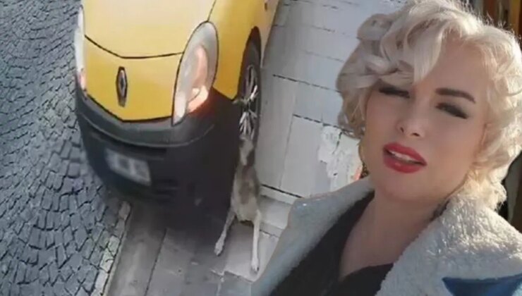 Köpeği ezen taksicinin görüntüsünü paylaştı, 2 yıl hapis cezası aldı… Mardinli Marilyn Monroe, cezaevine teslim oldu!