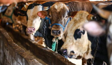 Kurban Bayramı ne zaman başlıyor? 2026 Kurban Bayramı kaç gün tatil?