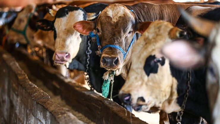 Kurban Bayramı ne zaman başlıyor? 2026 Kurban Bayramı kaç gün tatil?