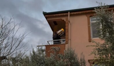 Lodosun etkisiyle alevler komşu binaya sıçradı: Balkondaki alevli eşyaları aşağı attı