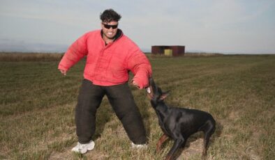 Lvbel C5 imaj yeniledi! Yine beğenilmedi