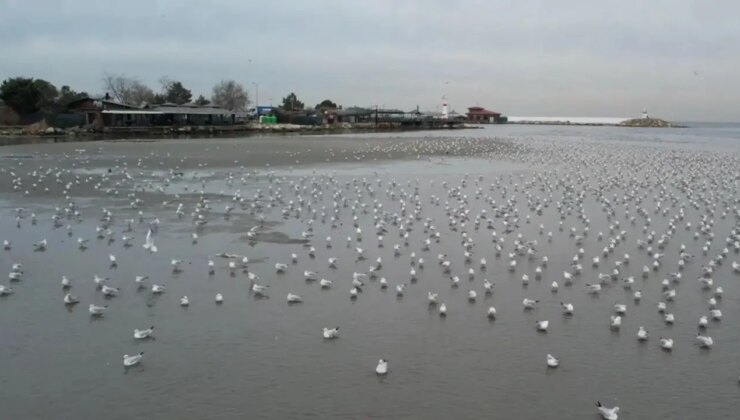 Marmara’da tedirgin eden görüntü: Silivri ve Avcılar’da deniz metrelerce çekildi