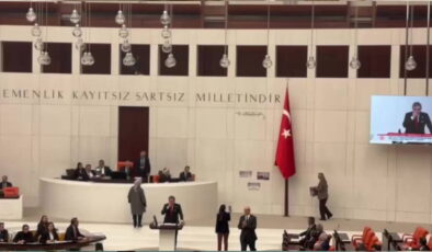 Meclis’te gerilim! CHP’lilerin “emekli” dövizini AKP’li Ceyda Bölünmez Çankırı kaldırdı