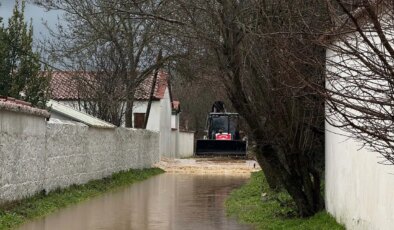 Muğla’da şüpheli ölüm: Kayıp olarak aranan kadın ağaca asılı bulundu