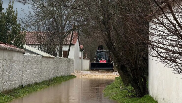 Muğla’da şüpheli ölüm: Kayıp olarak aranan kadın ağaca asılı bulundu