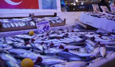 Ne hamsi ne palamut: Tezgahın şampiyonu! Kilosu 100 TL…