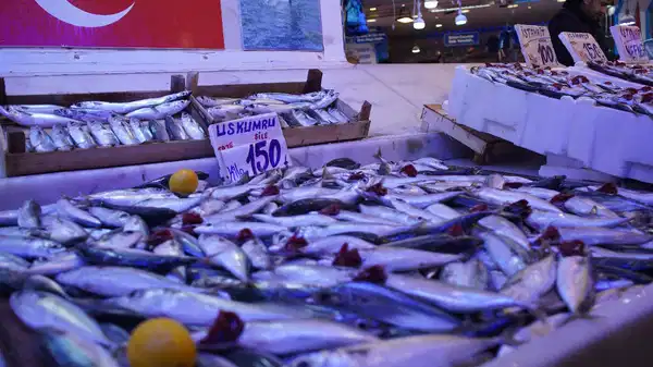 Ne hamsi ne palamut: Tezgahın şampiyonu! Kilosu 100 TL…