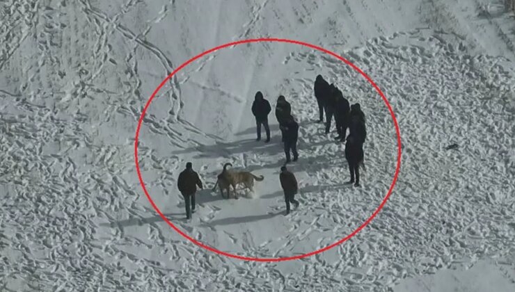 O anlar kamerada: Köpek dövüştürenler dronu görünce kaçtı!
