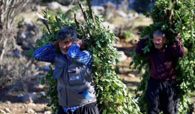 Orman köylüsü ailelere 2,55 milyar lira destek