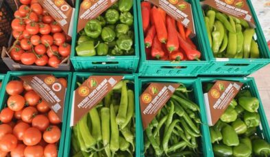 Pestisit analiz kapsamı genişliyor: Biberler de analiz ediliyor