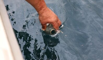 Rize-Çayeli açıklarındaki petrol sızıntısının ham petrolden kaynaklandığı anlaşıldı