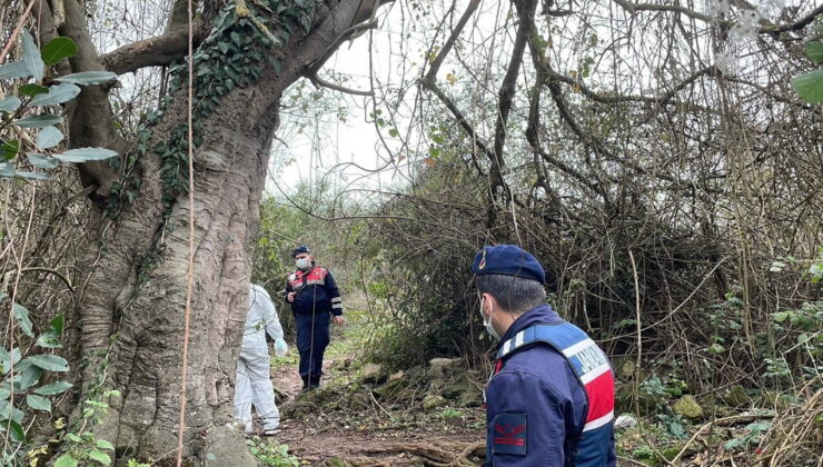 Sakarya’da çalılıklarda ceset bulundu!