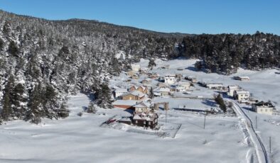 Sarıalan Yaylası kışa büründü: 14 köyün yaylasında kartpostallık manzara