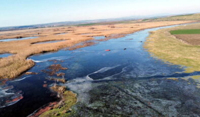 Sıcaklık eksi 8 derece… Edirne’de Tunca Nehri ve gölet buz tuttu