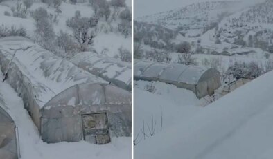 Siirt’i kar vurdu: Seralar çöktü, cami girişindeki çatı yıkıldı!