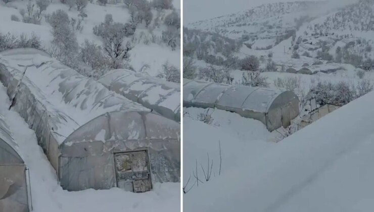 Siirt’i kar vurdu: Seralar çöktü, cami girişindeki çatı yıkıldı!