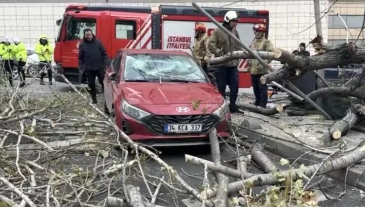 Şişli’de ağaç, park halindeki aracın üzerine devrildi