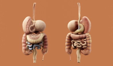 Sosyal medyadaki bağırsak detoksu trendine dikkat: Damar tıkanıklıklarına kadar uzanabilir!
