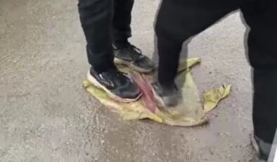 Suriye’nin Tabka kentinde teröristlerin afişleri parçalandı