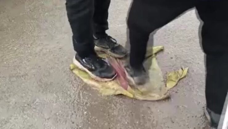 Suriye’nin Tabka kentinde teröristlerin afişleri parçalandı