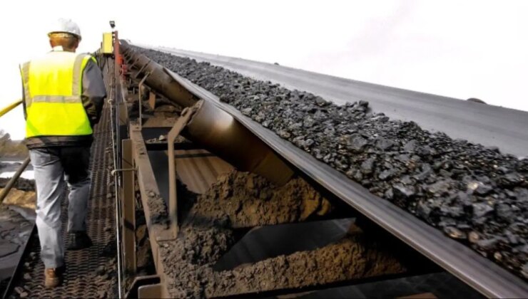 Sürveyan nedir, ne demek? Sürveyan ne iş yapar?