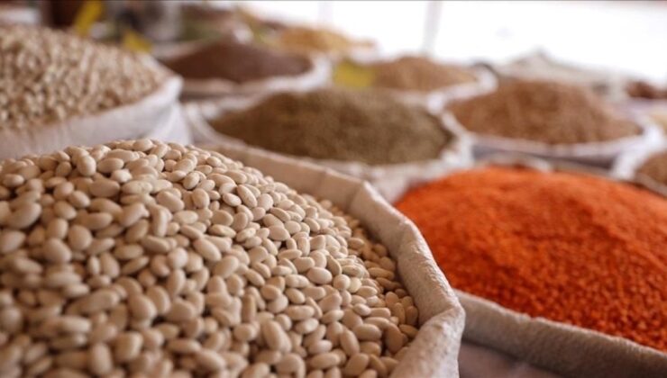 Tarım, gıda ve içecekte en çok ihraç edilen gıdalar