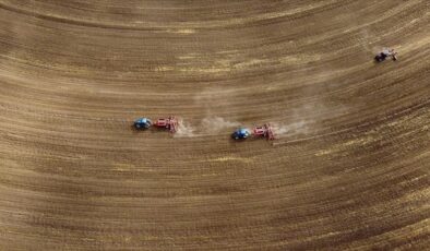 Tarım sayımı sonuçları yılın ikinci yarısında açıklanacak